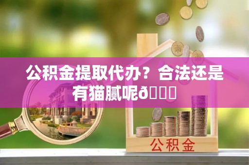 诏安公积金提取代办？合法还是有猫腻呢😏