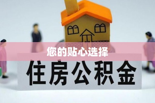 诏安您的贴心选择